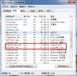 糖果浏览器在Windows任务管理器中的进程标识